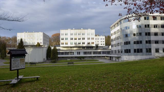 Jak długo trwa rehabilitacja w Reptach? Czas trwania i czynniki wpływające Jak długo trwa rehabilitacja w Reptach? Czas trwania i czynniki wpływające