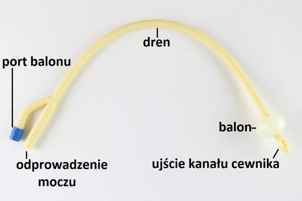 Czy ratownik medyczny może cewnikować? Zasady i ograniczenia w praktyce Czy ratownik medyczny może cewnikować? Zasady i ograniczenia w praktyce