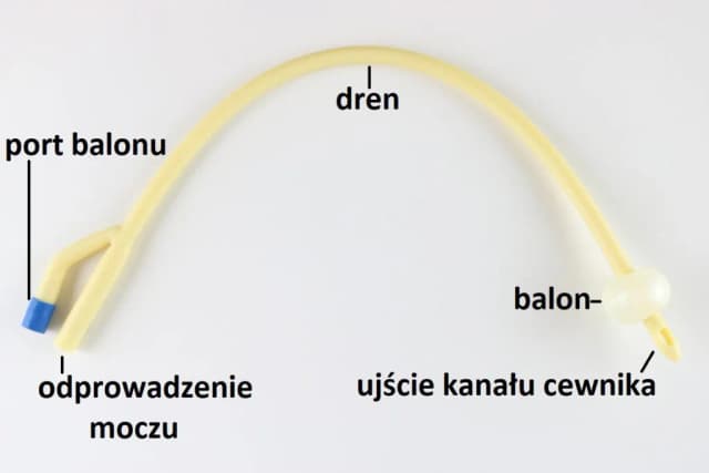 Czy ratownik medyczny może cewnikować? Zasady i ograniczenia w praktyce Czy ratownik medyczny może cewnikować? Zasady i ograniczenia w praktyce