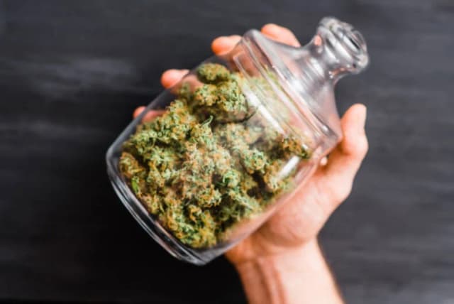 Czy medyczna marihuana zawiera THC? Poznaj jego wpływ na zdrowie Czy medyczna marihuana zawiera THC? Poznaj jego wpływ na zdrowie